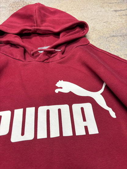 Bluza męska puma hoodie